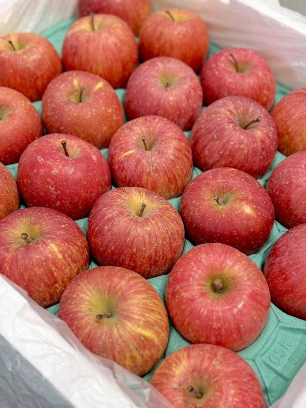 日本青森蜜富士蘋果 日本青森,青森蘋果,蜜富士,蘋果,蜜蘋果