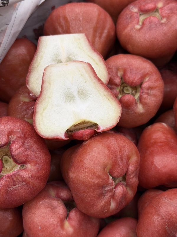 在地嚴選林邊蓮霧 蓮霧