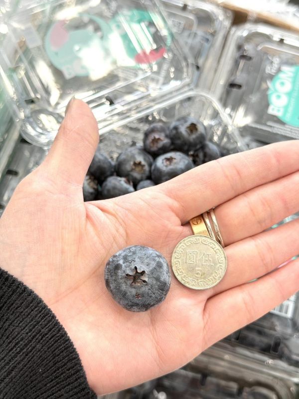 祕魯20mm+大藍莓 藍莓,祕魯藍莓