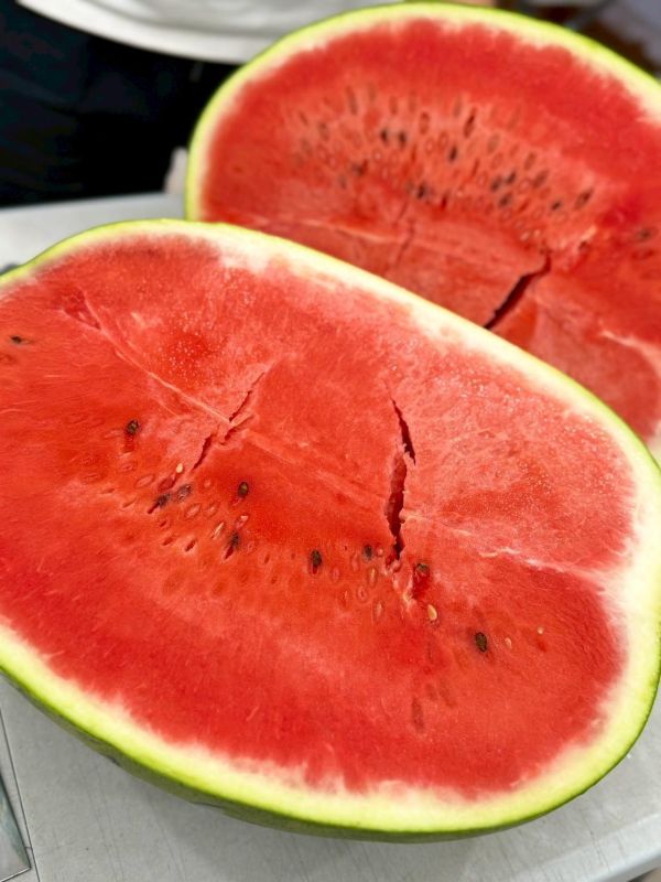 嘉義八掌溪大西瓜 大瓜.西瓜,大西瓜