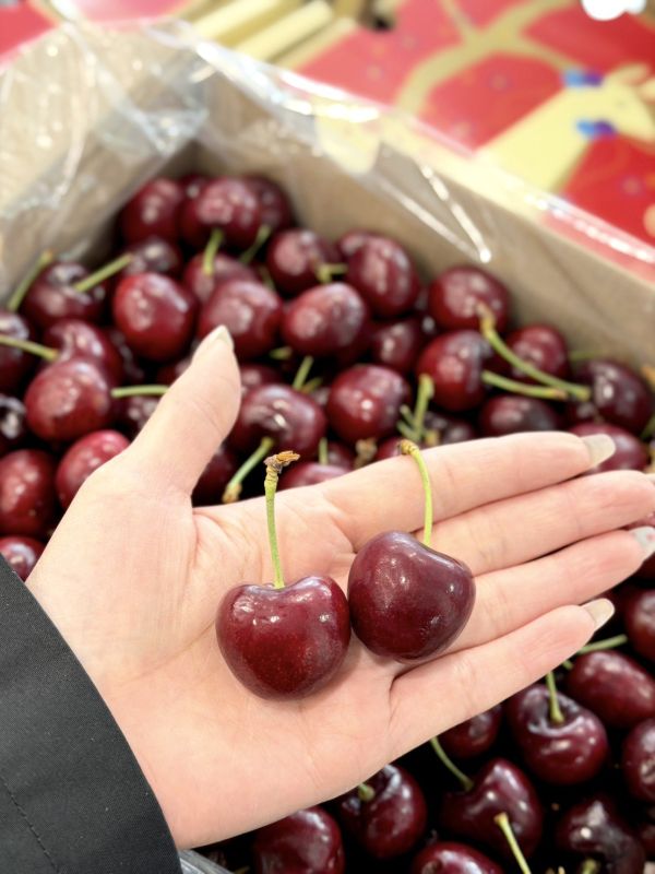 智利進口2JD櫻桃 櫻桃,2JD,智利櫻桃