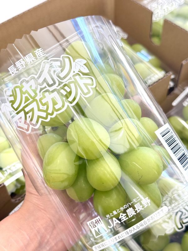 日本長野麝香葡萄 麝香葡萄,葡萄