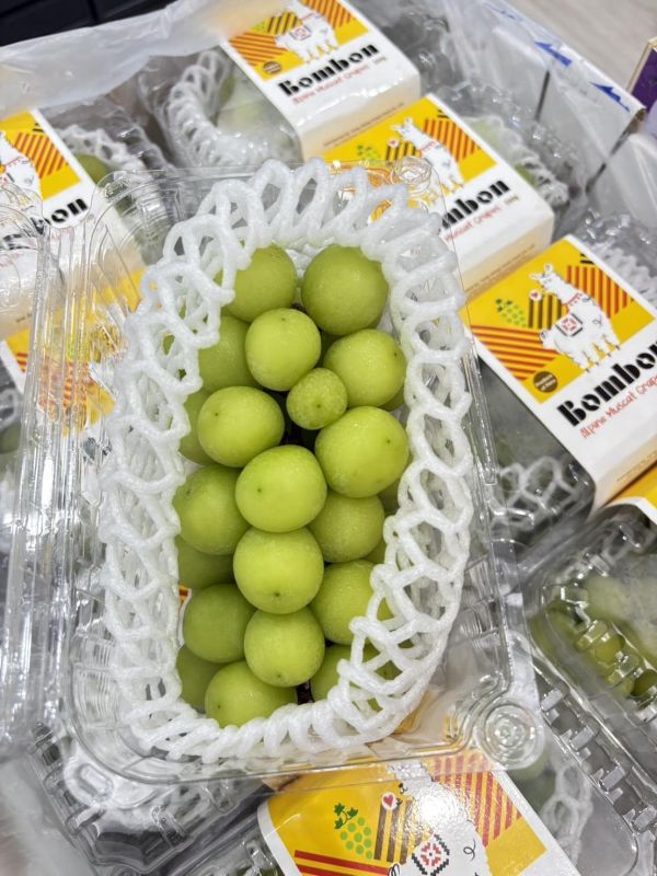 秘魯進口麝香葡萄 麝香葡萄,祕魯麝香,葡萄