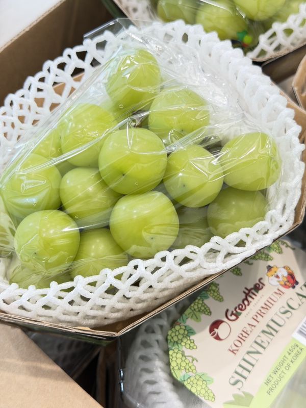 韓國閃耀麝香葡萄 韓國閃耀麝香葡萄,麝香,麝香葡萄,葡萄,韓國麝香