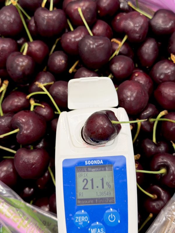 智利進口2JD櫻桃 櫻桃,2JD,智利櫻桃