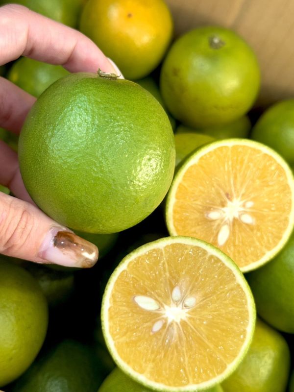 在地嚴選竹崎雞蛋丁 柳丁