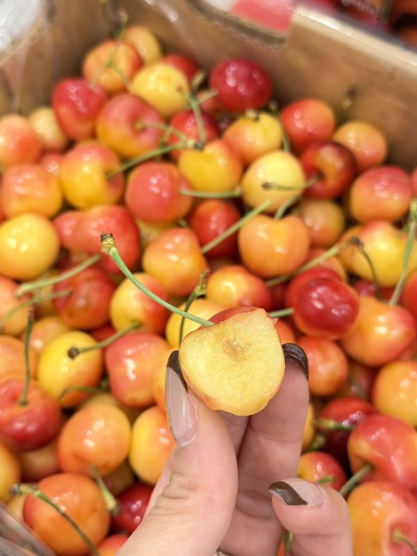 智利空運Rainier白櫻桃 智利空運Rainier白櫻桃,白櫻桃