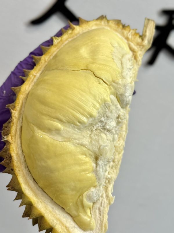 越南<鶴>金枕頭榴蓮 金枕頭,榴蓮