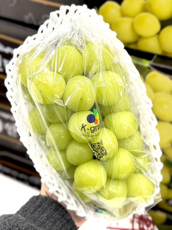 韓國閃耀麝香葡萄 韓國閃耀麝香葡萄,麝香,麝香葡萄,葡萄,韓國麝香