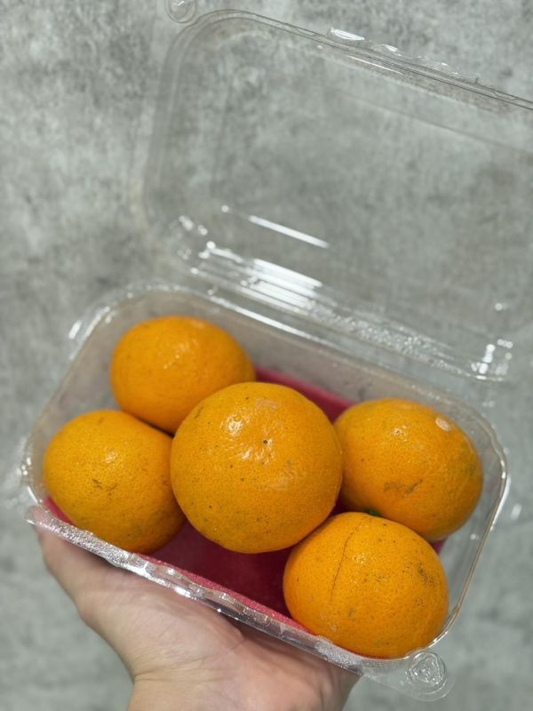 嚴選珍珠茂谷柑 珍珠柑,茂谷柑,茂谷