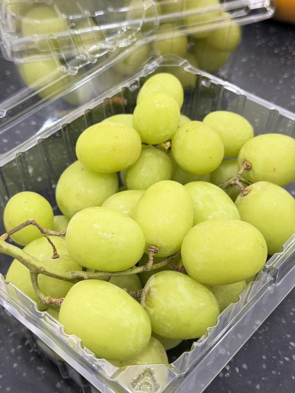 秘魯2J大秋脆葡萄 秘魯秋脆葡萄,秋脆葡萄,秋脆,葡萄,綠葡萄