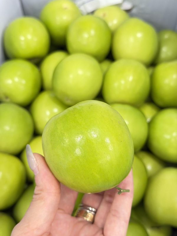 在地嚴選精品蜜棗 雪麗棗,棗子