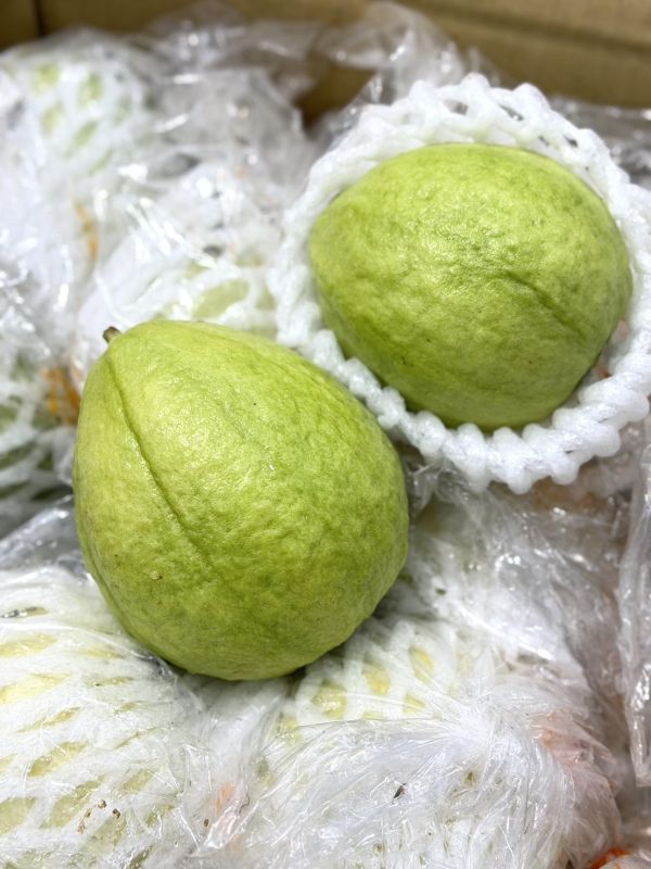 高雄燕巢牛奶芭樂 高雄燕巢,芭樂,珍珠芭樂