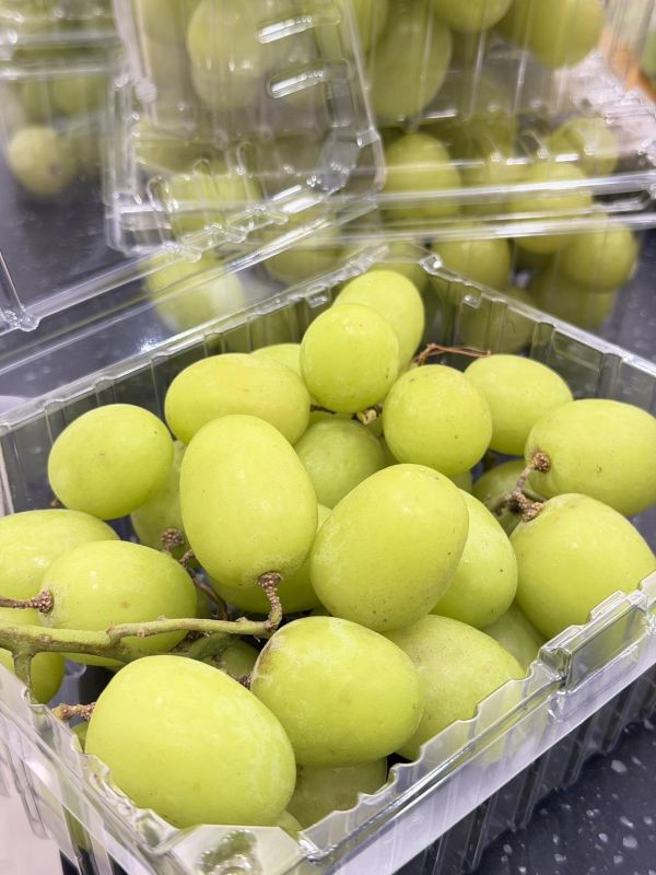 秘魯2J大秋脆葡萄 秘魯秋脆葡萄,秋脆葡萄,秋脆,葡萄,綠葡萄