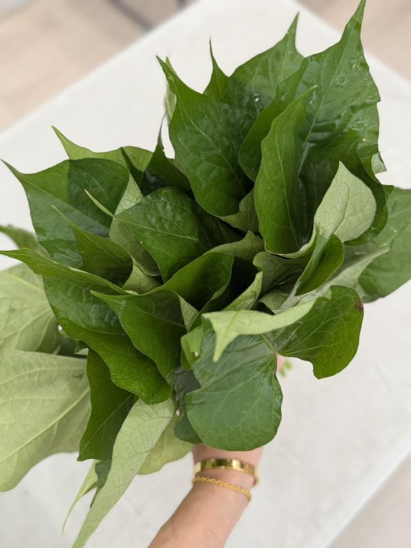 有機新鮮蔬菜 有機蔬菜,產銷履歷,蔬菜