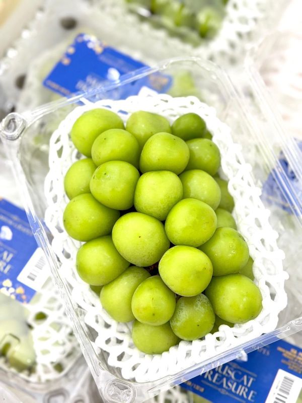 秘魯進口麝香葡萄 麝香葡萄,祕魯麝香,葡萄