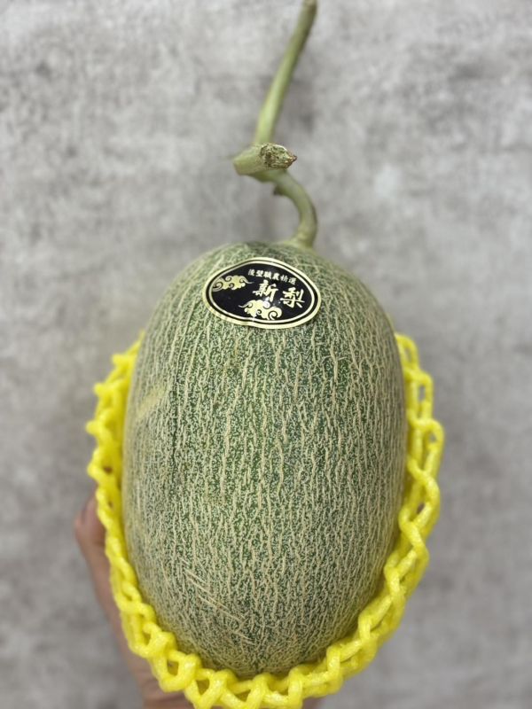 溫室新梨紅肉哈密瓜 溫室哈密瓜,新梨哈密瓜,哈密瓜