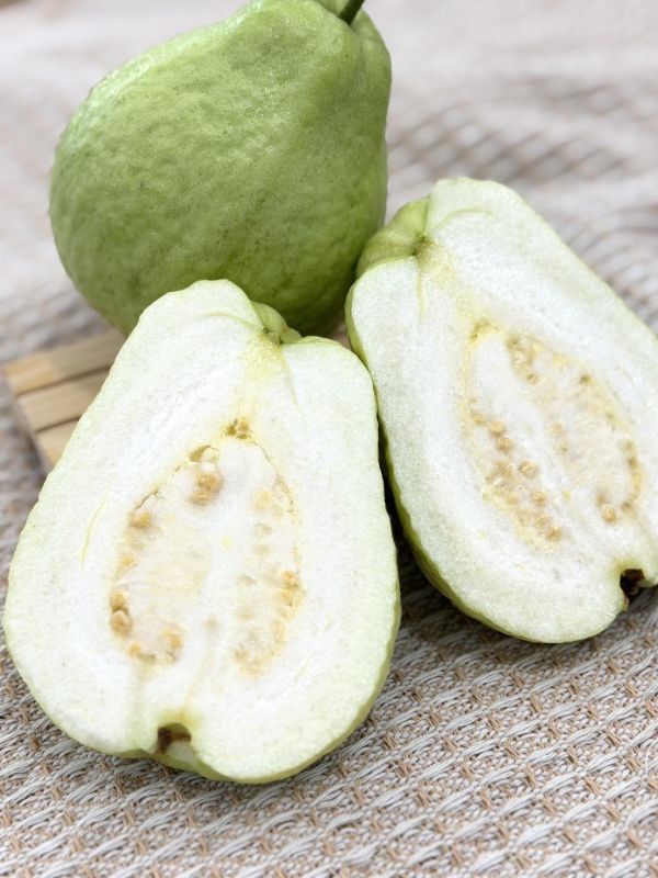 高雄燕巢珍珠大芭樂 高雄燕巢,芭樂,珍珠芭樂