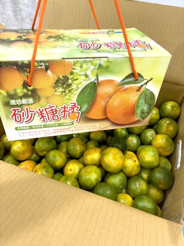 在地南投砂糖橘 砂糖橘