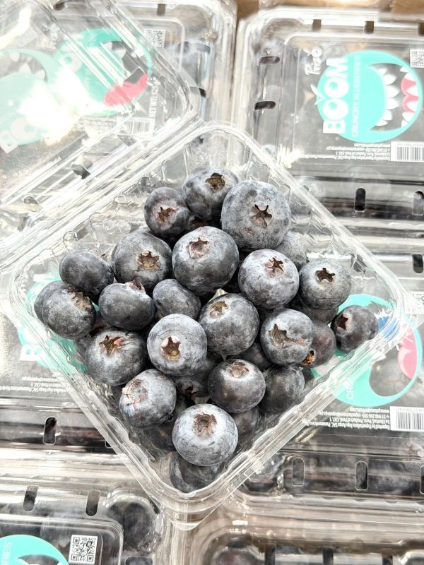 祕魯20mm+大藍莓 藍莓,祕魯藍莓
