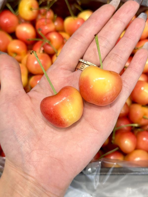 智利空運GOLD大白櫻桃 GOLD白櫻桃