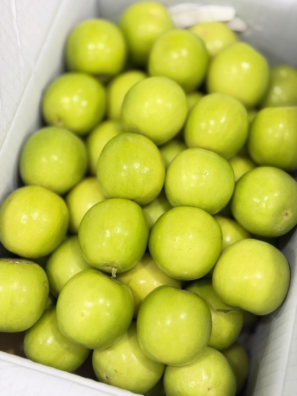 在地嚴選精品蜜棗 雪麗棗,棗子