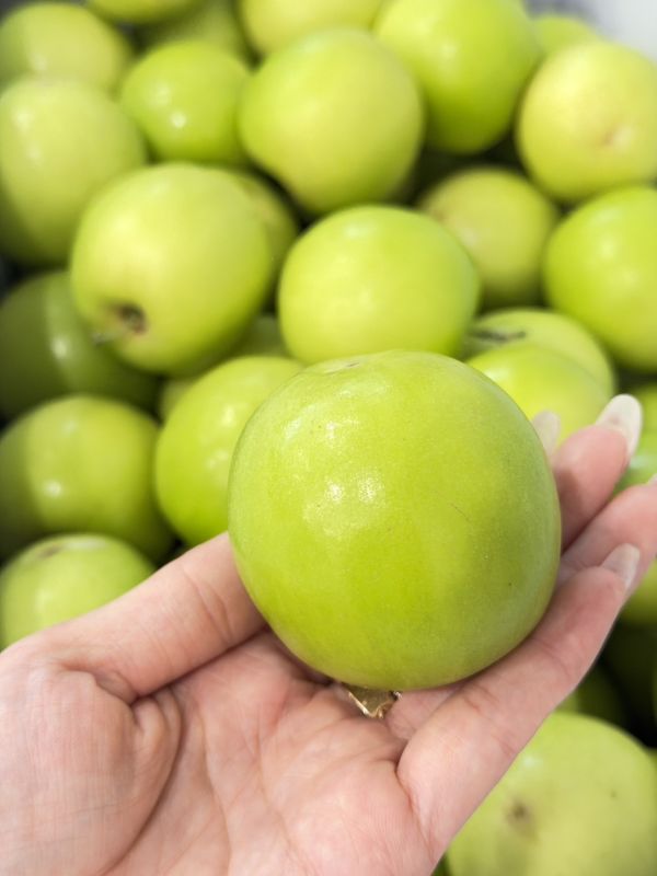在地嚴選精品大蜜棗 雪麗棗,棗子