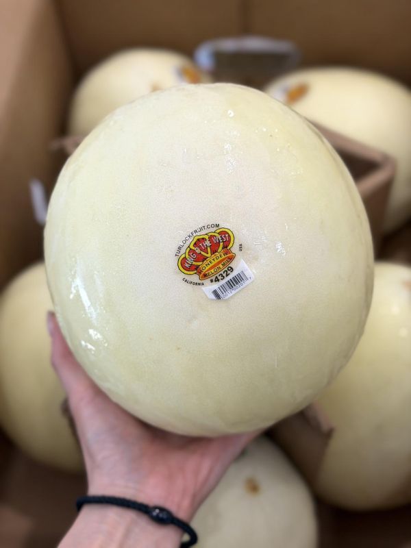 美國皇冠蜜世界哈密瓜 哈密瓜,皇冠,蜜世界