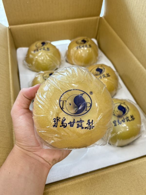 卓蘭嚴選寶島甘露梨 寶島甘露梨,甘露梨