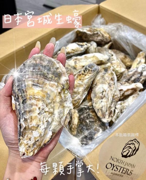日本宮城生蠔 日本生蠔,宮城生蠔,日本宮城生蠔,生蠔,冷凍,冷凍生鮮,蔬菜,冷凍食品