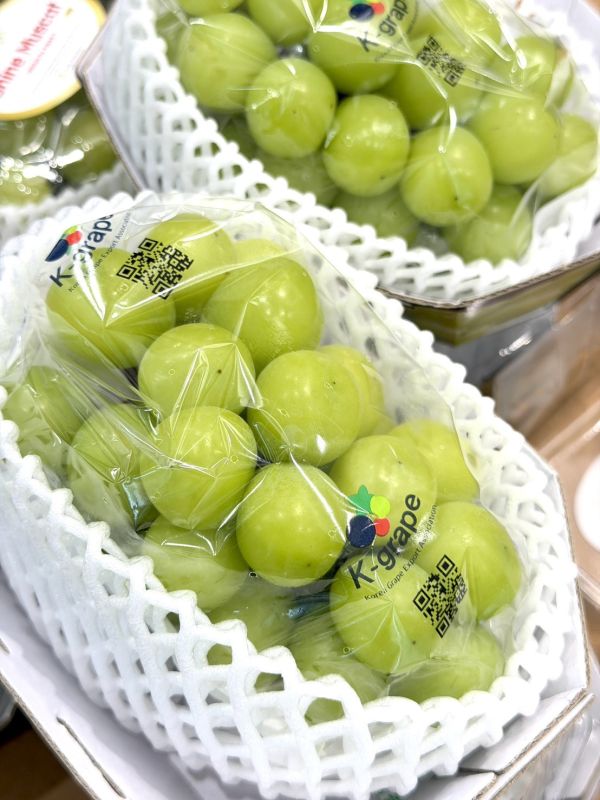 韓國閃耀麝香葡萄 麝香葡萄