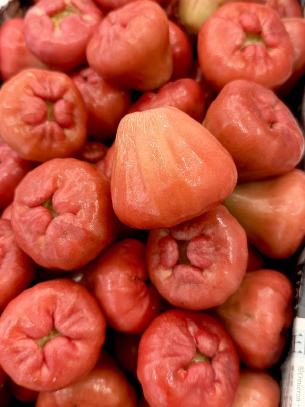 在地嚴選林邊蓮霧 蓮霧