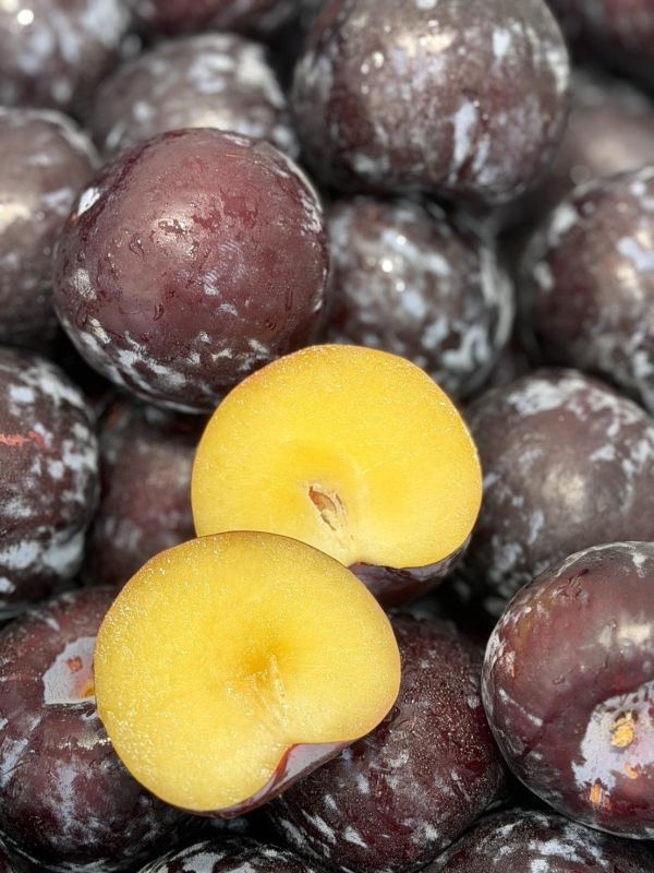 智利進口黑李 智利進口黑李,黑李,李子