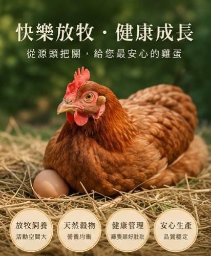 靈芝紅殼紅仁雞蛋 靈芝,雞蛋
