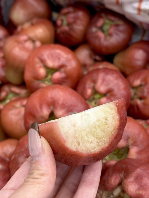 在地嚴選林邊蓮霧 蓮霧