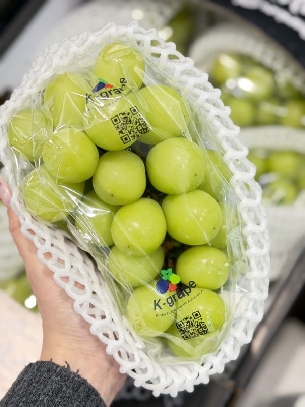 韓國閃耀麝香葡萄 韓國閃耀麝香葡萄,麝香,麝香葡萄,葡萄,韓國麝香