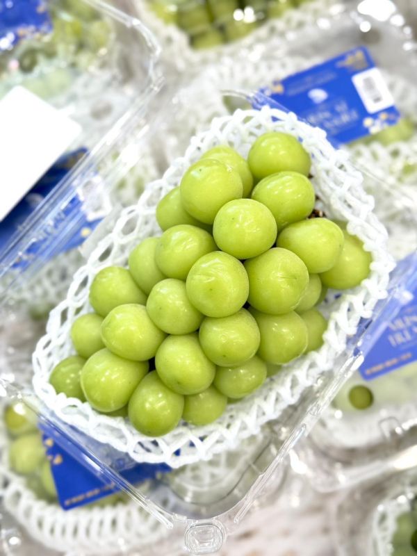 秘魯進口麝香葡萄 麝香葡萄,祕魯麝香,葡萄