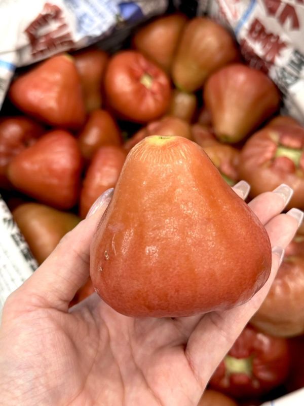 在地嚴選林邊蓮霧 蓮霧