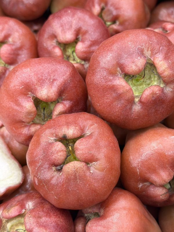 在地嚴選林邊蓮霧 蓮霧