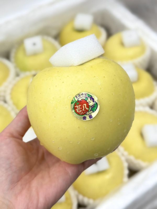日本青森金星牛奶蘋果 日本青森.金星牛奶,蘋果,青森,金星牛奶蘋果,金星,牛奶蘋果