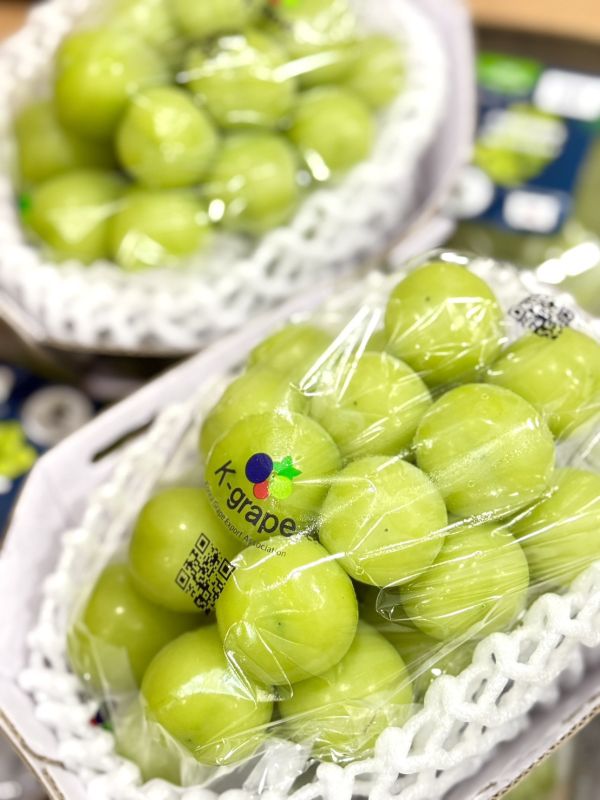 韓國閃耀麝香葡萄 麝香葡萄