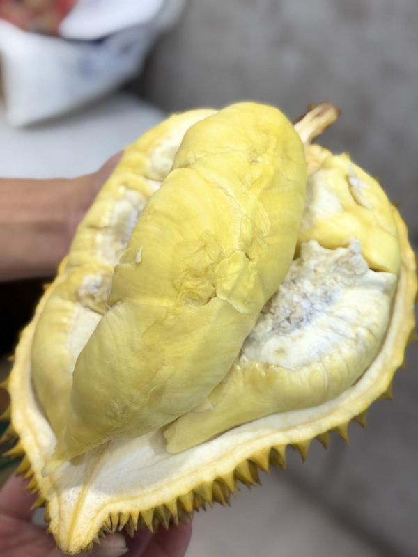 金枕頭榴槤 越南甘堯榴槤,榴槤,甘堯榴槤,甘堯,泰國榴槤,泰國金枕頭,金枕頭,金枕頭榴槤