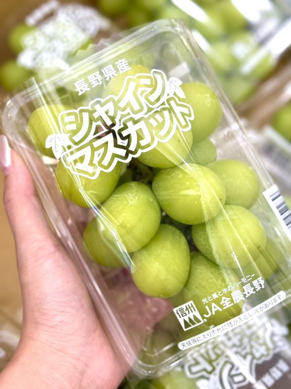 日本長野麝香葡萄 麝香葡萄,葡萄