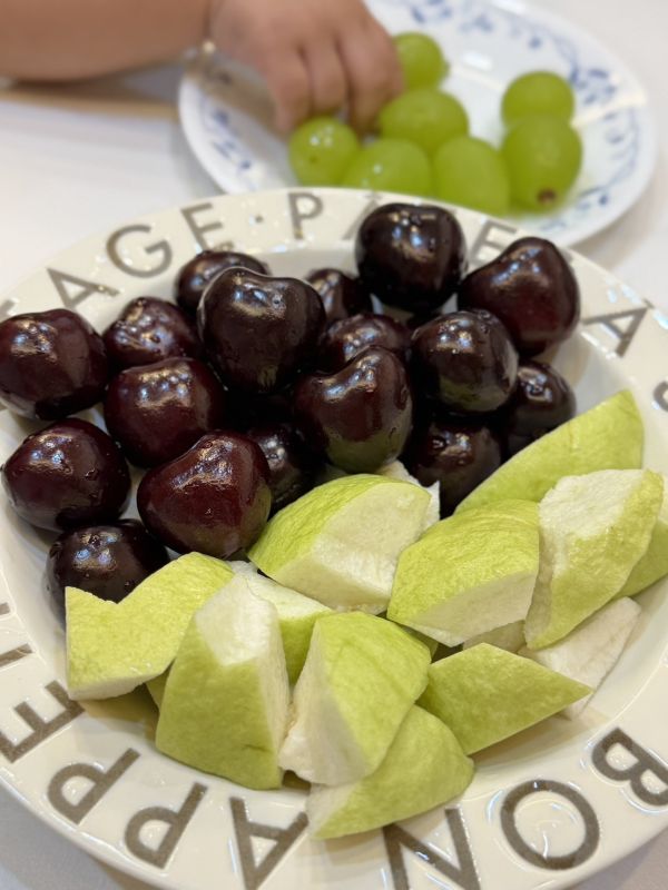 高雄燕巢珍珠芭樂 高雄燕巢,芭樂,珍珠芭樂