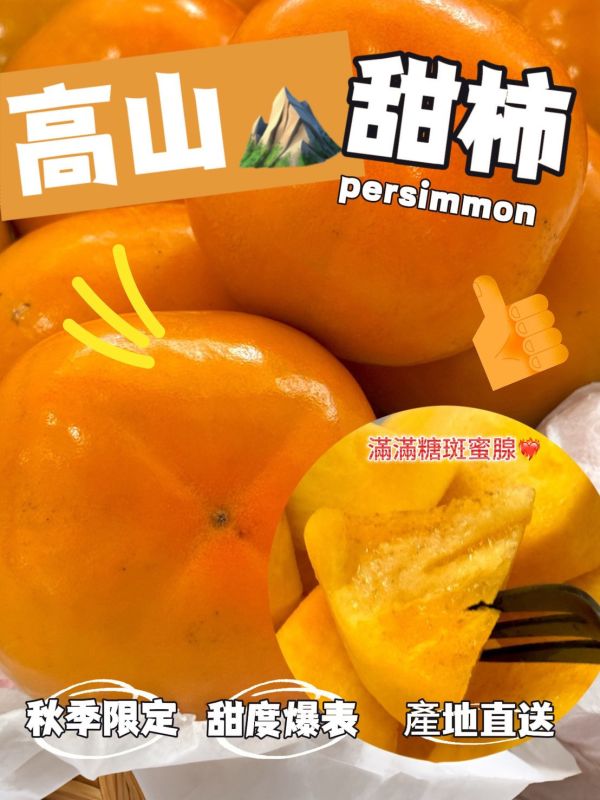 高山高海拔甜柿 梨山甜柿,甜柿