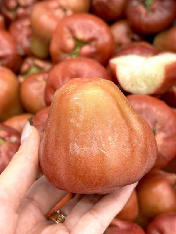 在地嚴選林邊蓮霧 蓮霧