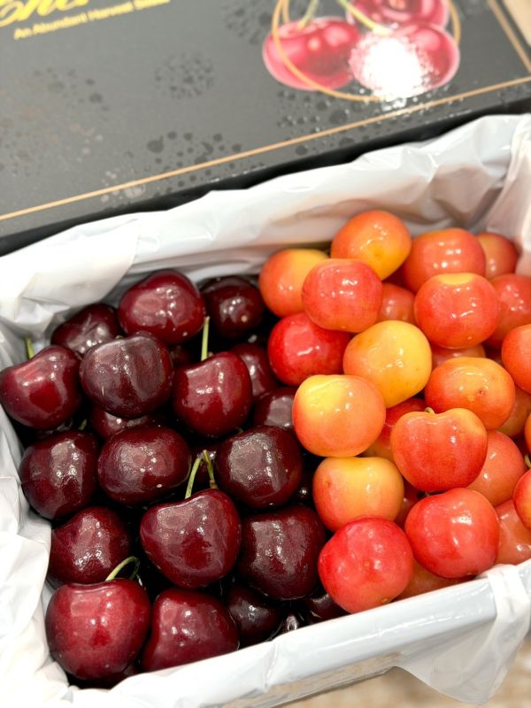 智利空運GOLD大白櫻桃 GOLD白櫻桃