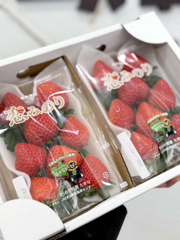 日本熊本戀みのり草莓 日本熊本,戀みのり,草莓,日本,熊本草莓,戀みのり草莓,日本草莓