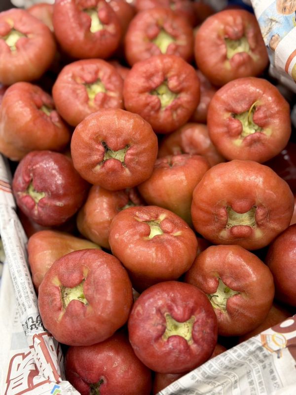 在地嚴選林邊蓮霧 蓮霧