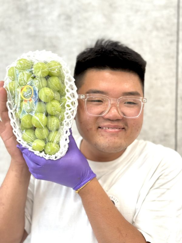 比臉大韓國麝香葡萄 韓國麝香,麝香葡萄,葡萄